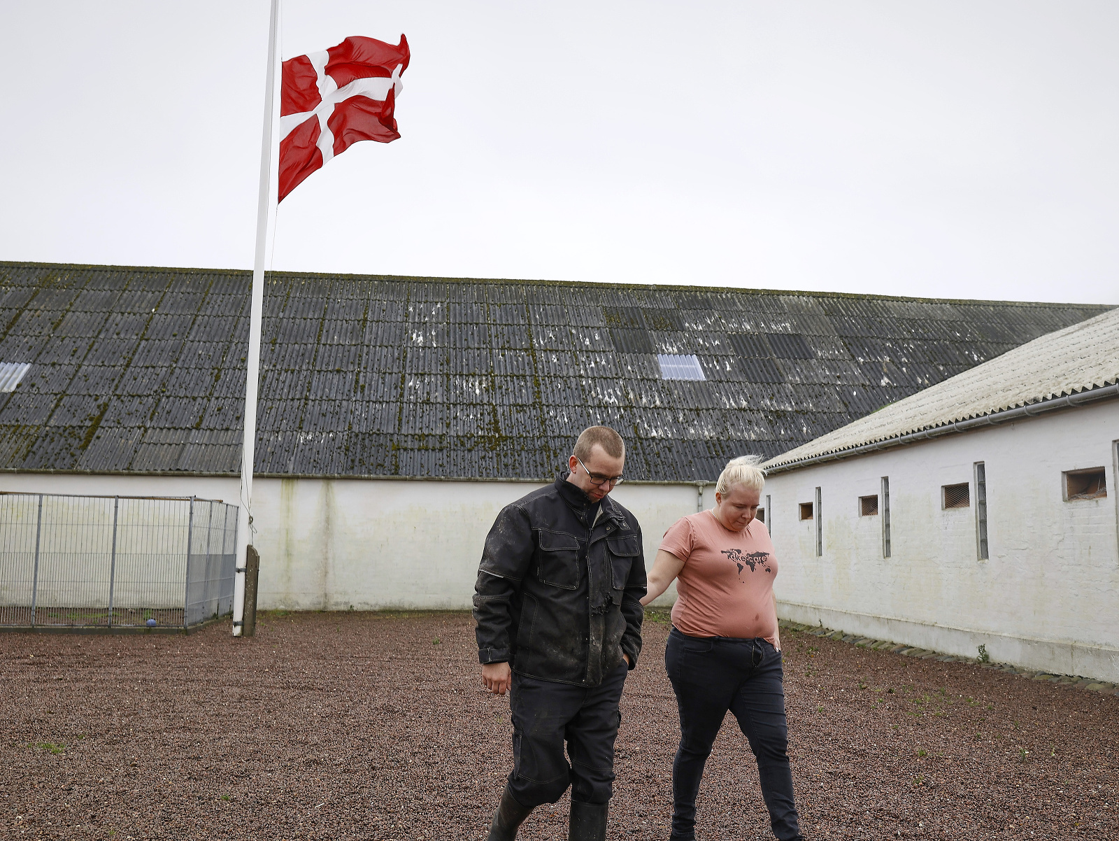 Pre zmutovaný koronavírus na norkových farmách uzavreli Severné Jutsko