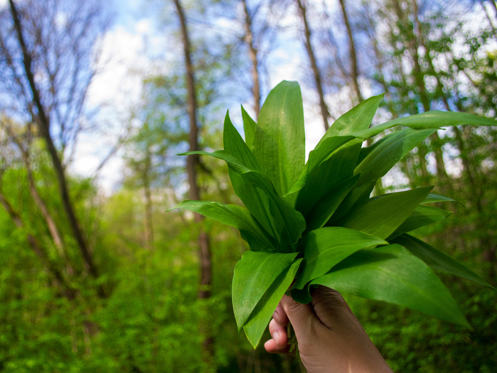 Začína jarný lov na