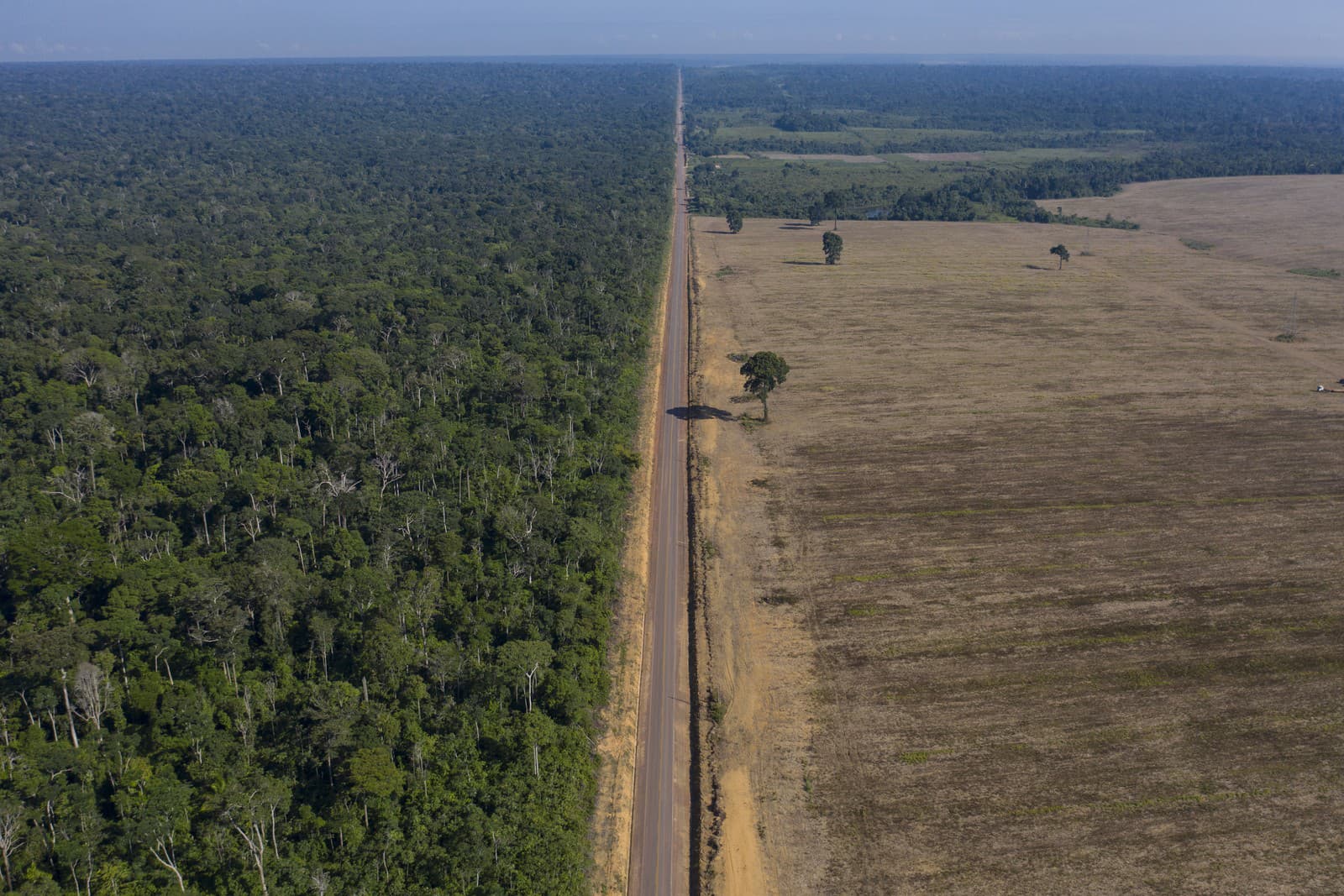 Odlesňovanie Amazonského pralesa v Brazílii dosiahlo v októbri nový rekord