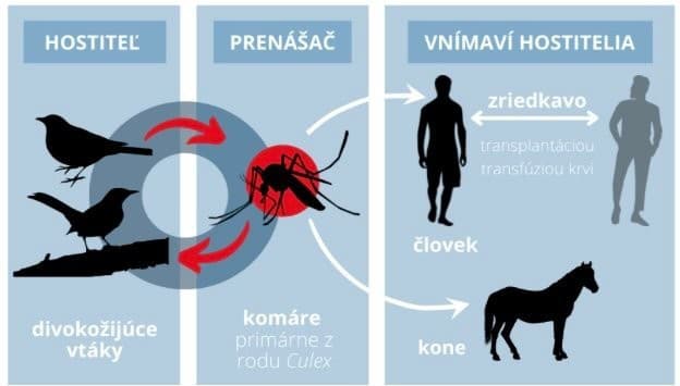 Taliansko aktivovalo NÚDZOVÝ plán!