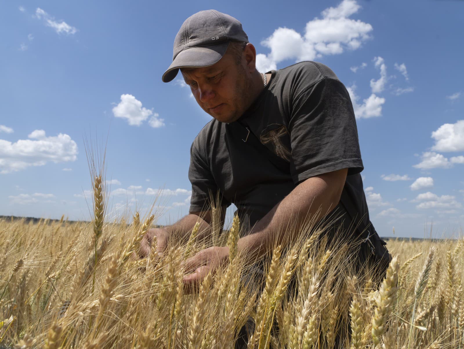 Farmár kontroluje pole v Doneckej oblasti na Ukrajine