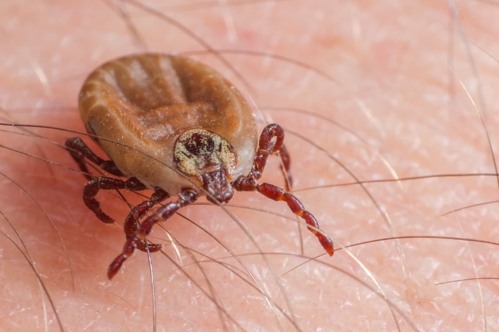 Mimoriadna situácia v Grécku: