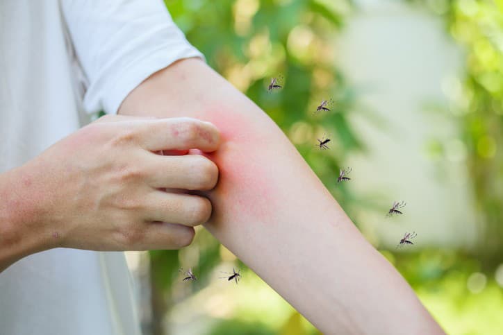 Hygienici a vedci sledujú