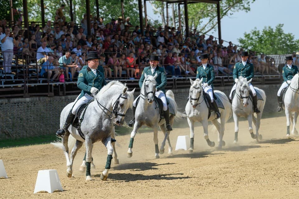 Agrokomplex, Národná výstava hospodárskych
