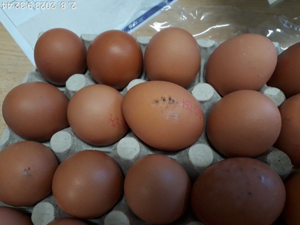 RVPS MT vajcia s prasknutou škrupinou, znečisteným povrchom, na povrchu porast plesní potvrdené mikrobiologickým vyšetrením.