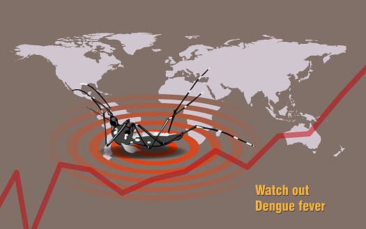 Horúčka dengue straší svet: