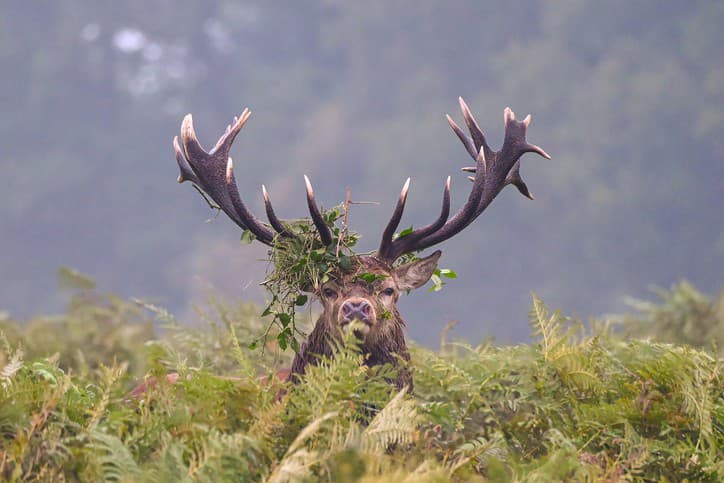 Nádherný nález, ktorý vás