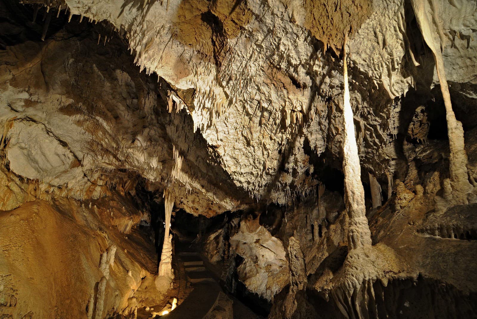 Objav, ktorý prepíše učebnice