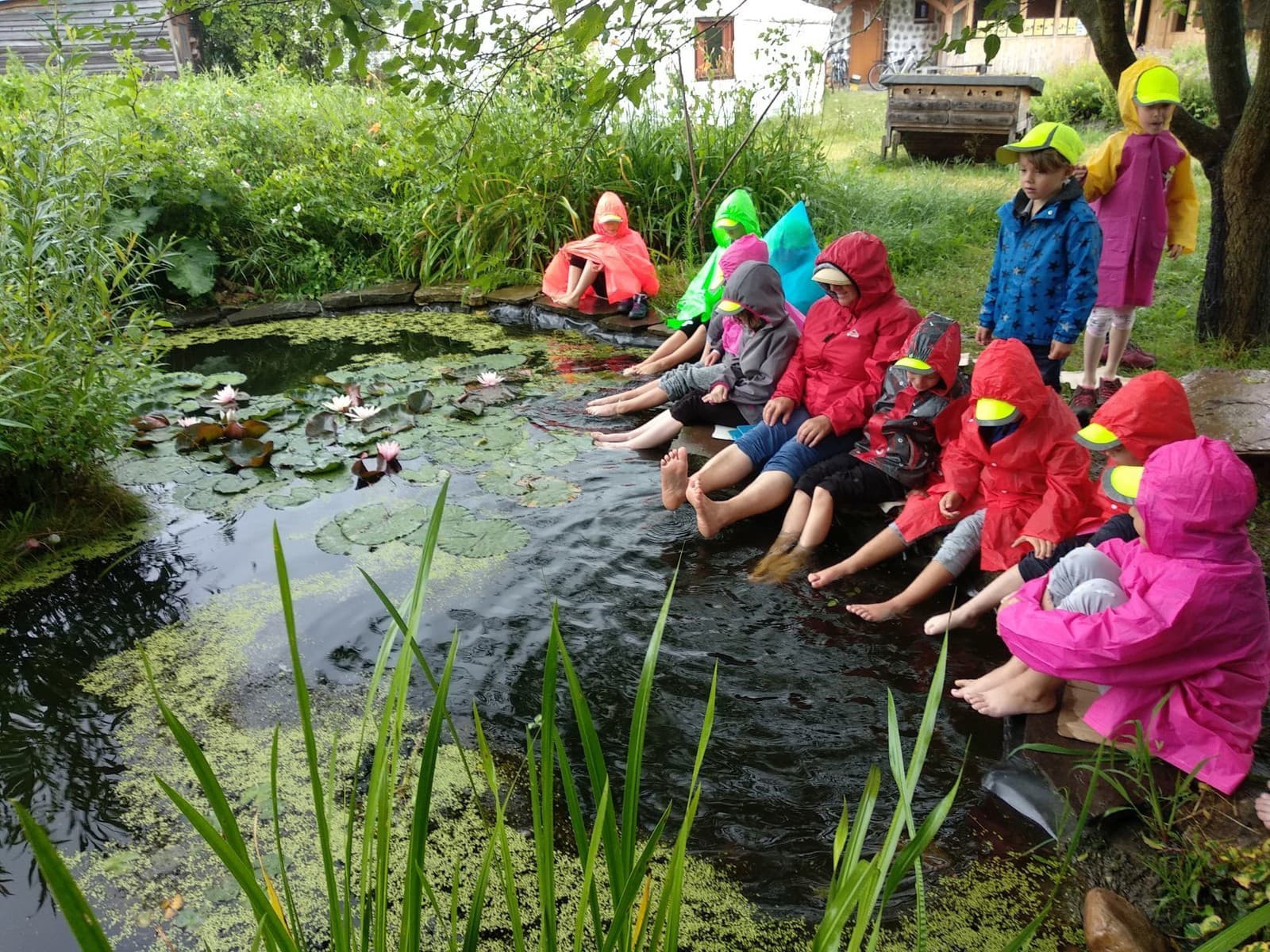 Na východnom Slovensku sa venujú osvete, ako meniť školské dvory na klimatické záhrady. Zdroj: OZ Sosna