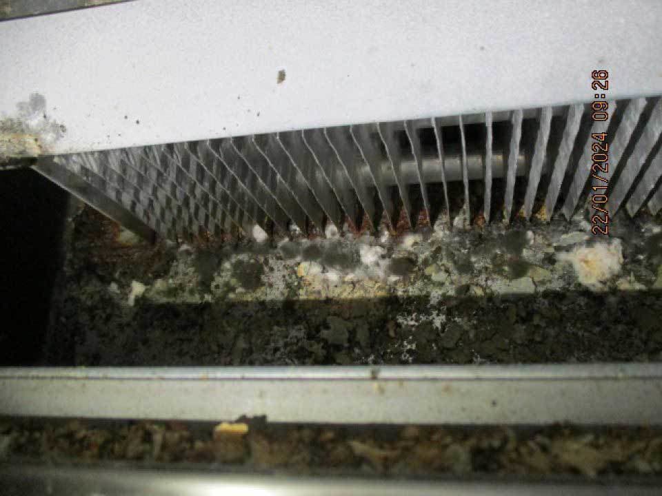 Chladiace zariadenie znečistené plesňou a prachom v obchode v Trebišove