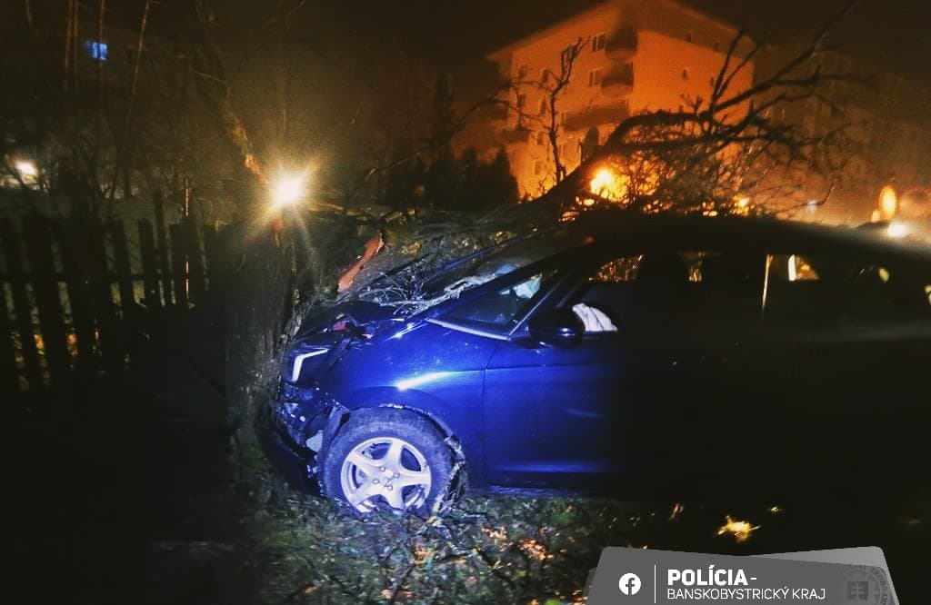 Opitý vodič v Žarnovici prerazil plot a skončil v strome