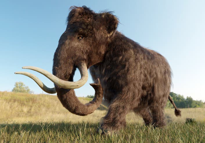 Dávno vyhynuté mamuty môžu