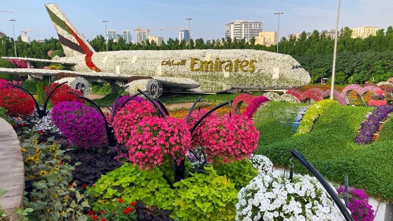 V Miracle Garden v Dubaji sa nachádza viac ako 150 miliónov kvetov v plnom rozkvete. 