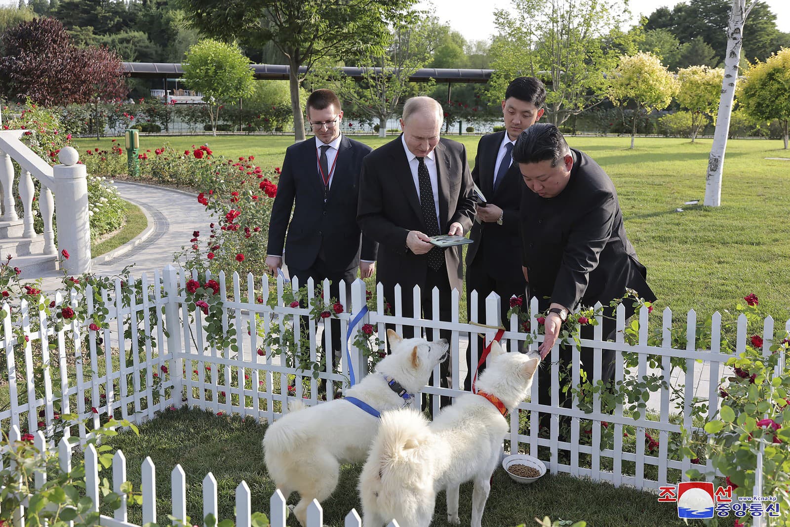 Severokórejský líder Kim Čong-un ukazuje ruskému prezidentovi Vladimirovi Putinovi pár psov kórejskej rasy pchungsan 