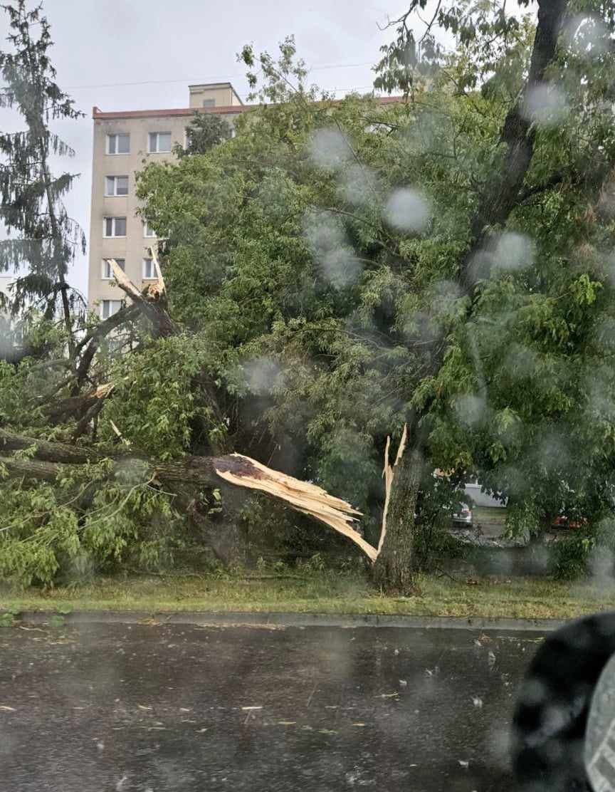 Apokalypsa, akú si Zvolen