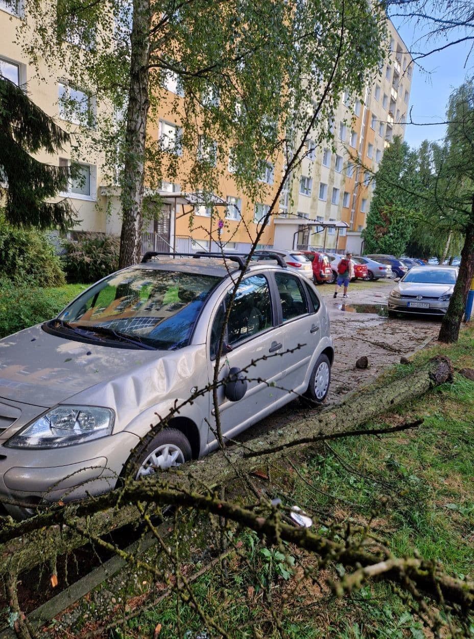 Apokalypsa, akú si Zvolen