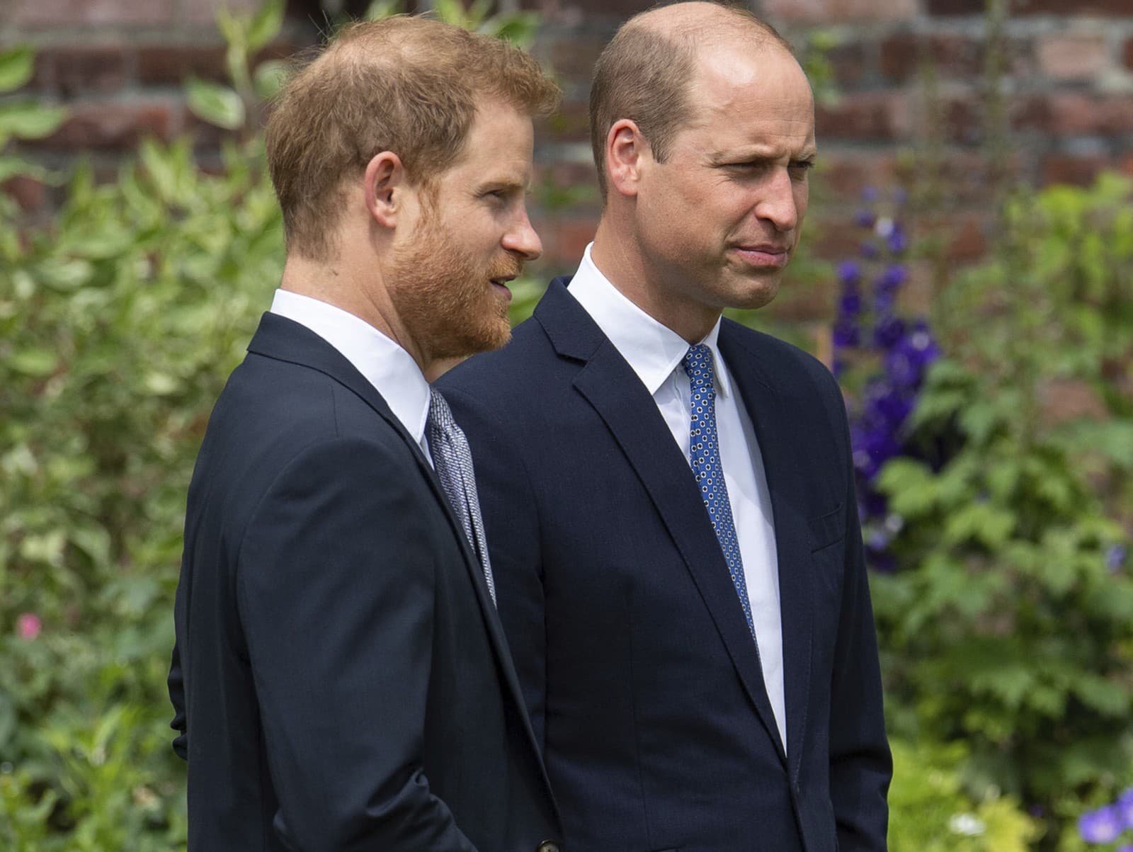 Harry a William sa