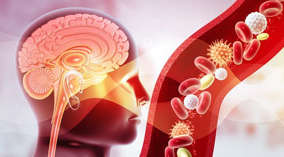 Smrtiaca huba sa môže