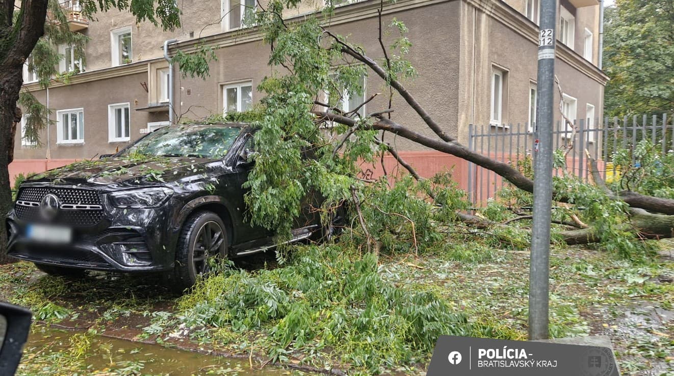 MIMORIADNY ONLINE Kritická situácia