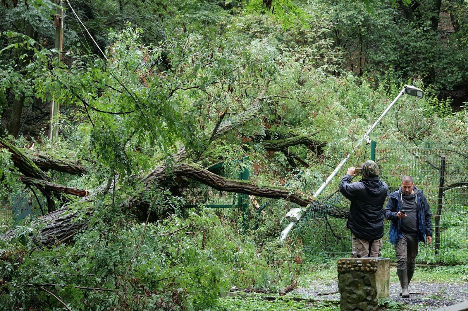 Následky povodní v bratislavskej ZOO