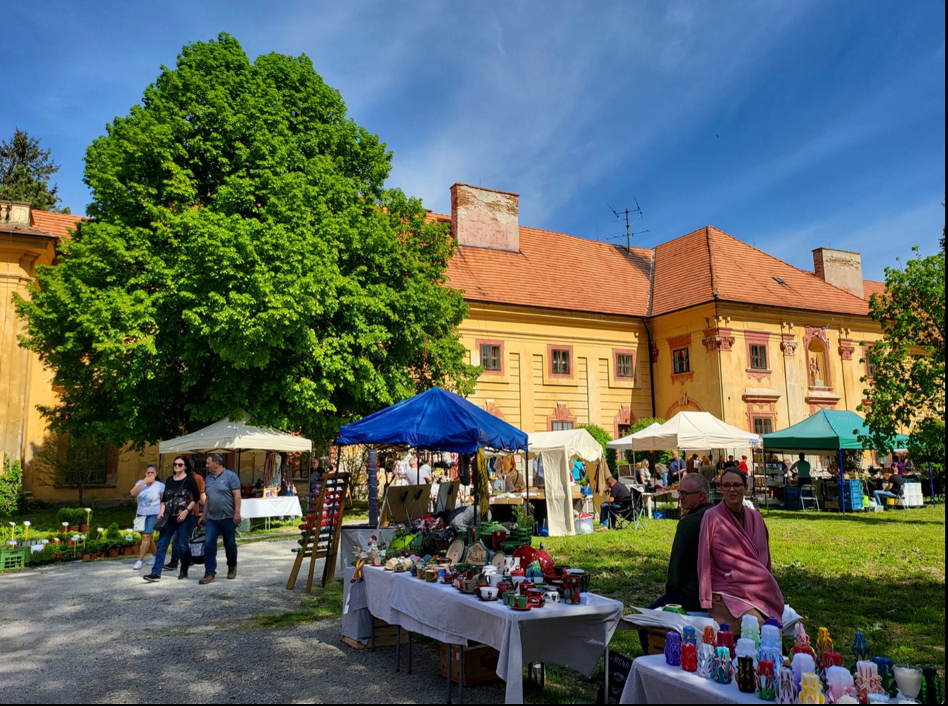 Spojenie športu a spoznávania