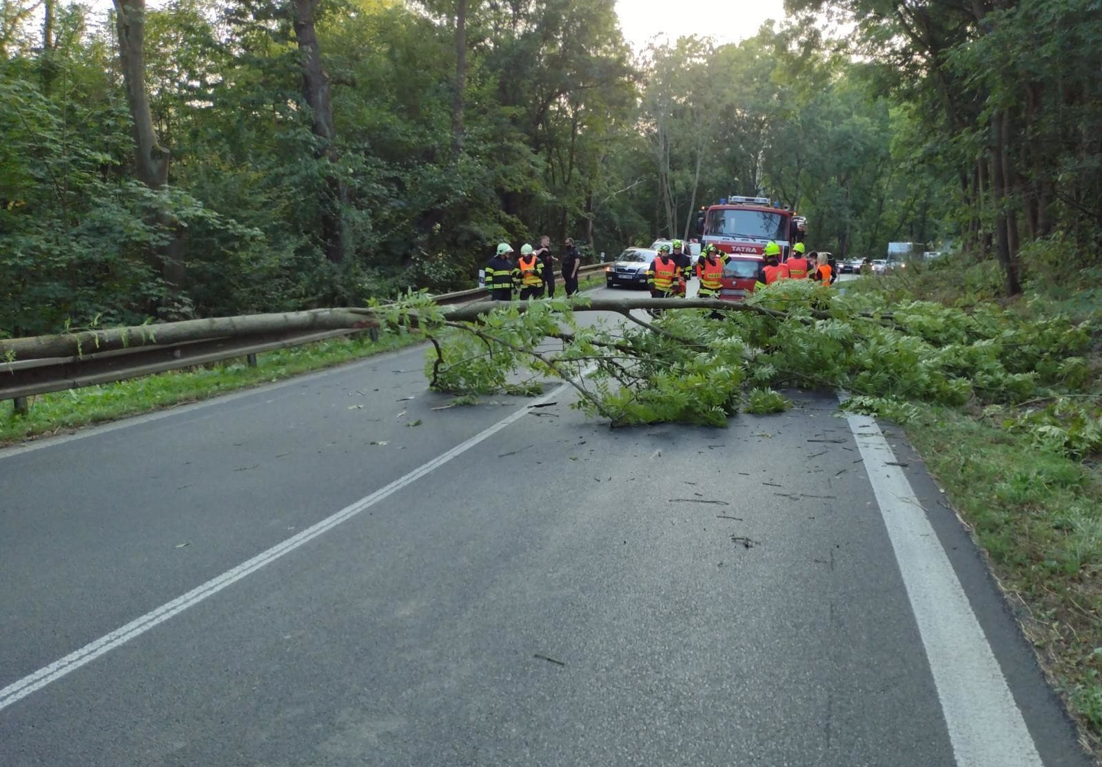 Strom, ktorý padol na auto