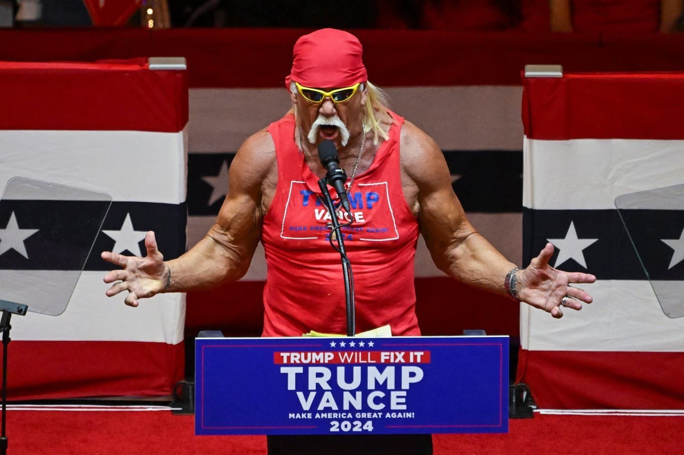 Hulk Hogan