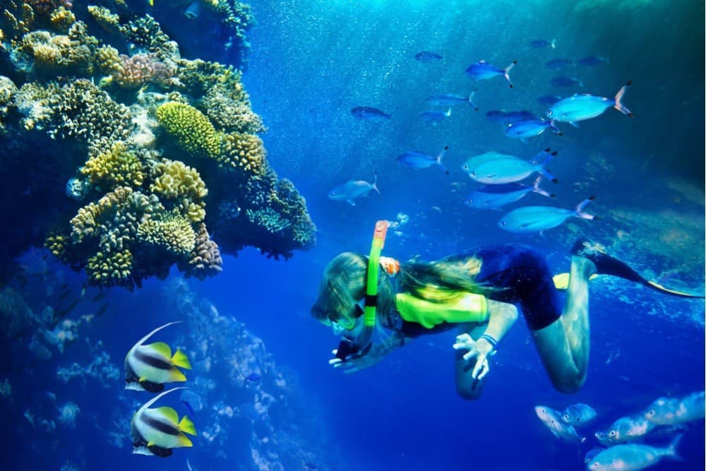 Marsa Alam aj Makadi Bay patria medzi prvotriedne šnorchlovacie lokality. 