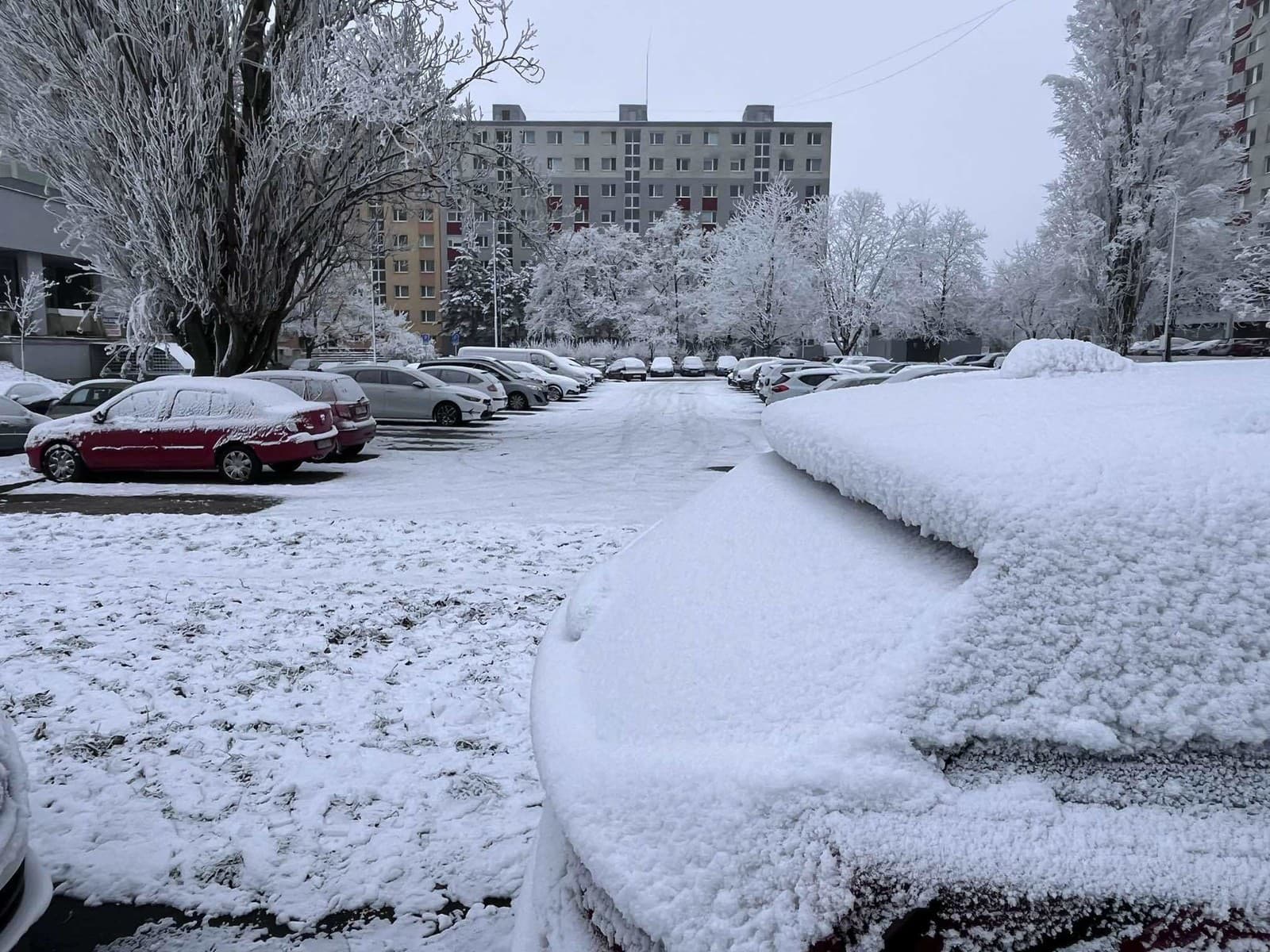 Sneh v Petržalke