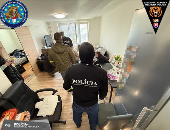 Policajná akcia Irakli. Obvinili gang, ktorý zarábal na falšovaní povolení pre cudzincov.