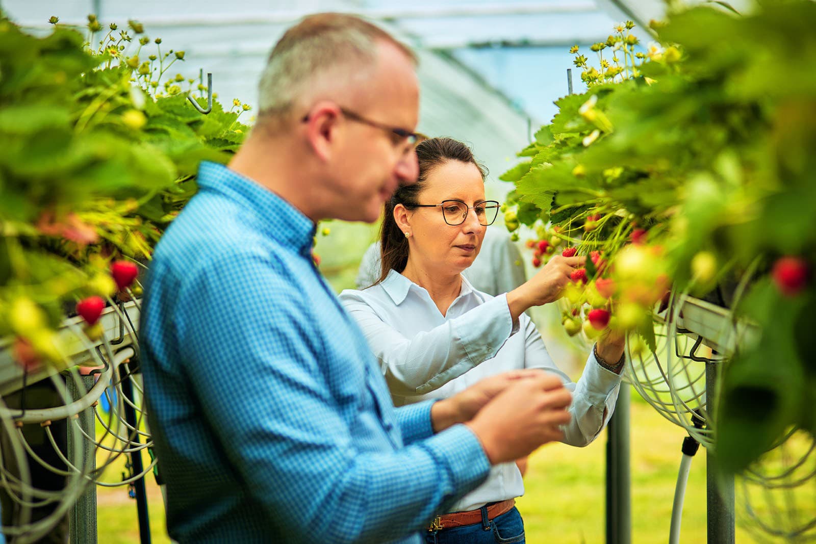 Podnikanie, ktoré rozvíja Slovensko