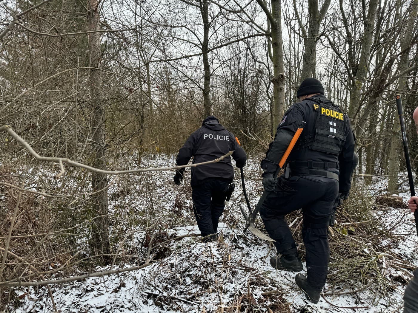 Davida zviazali a pochovali