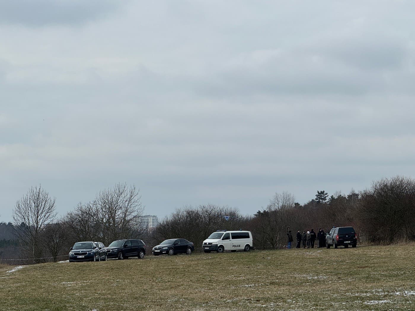 Davida zviazali a pochovali