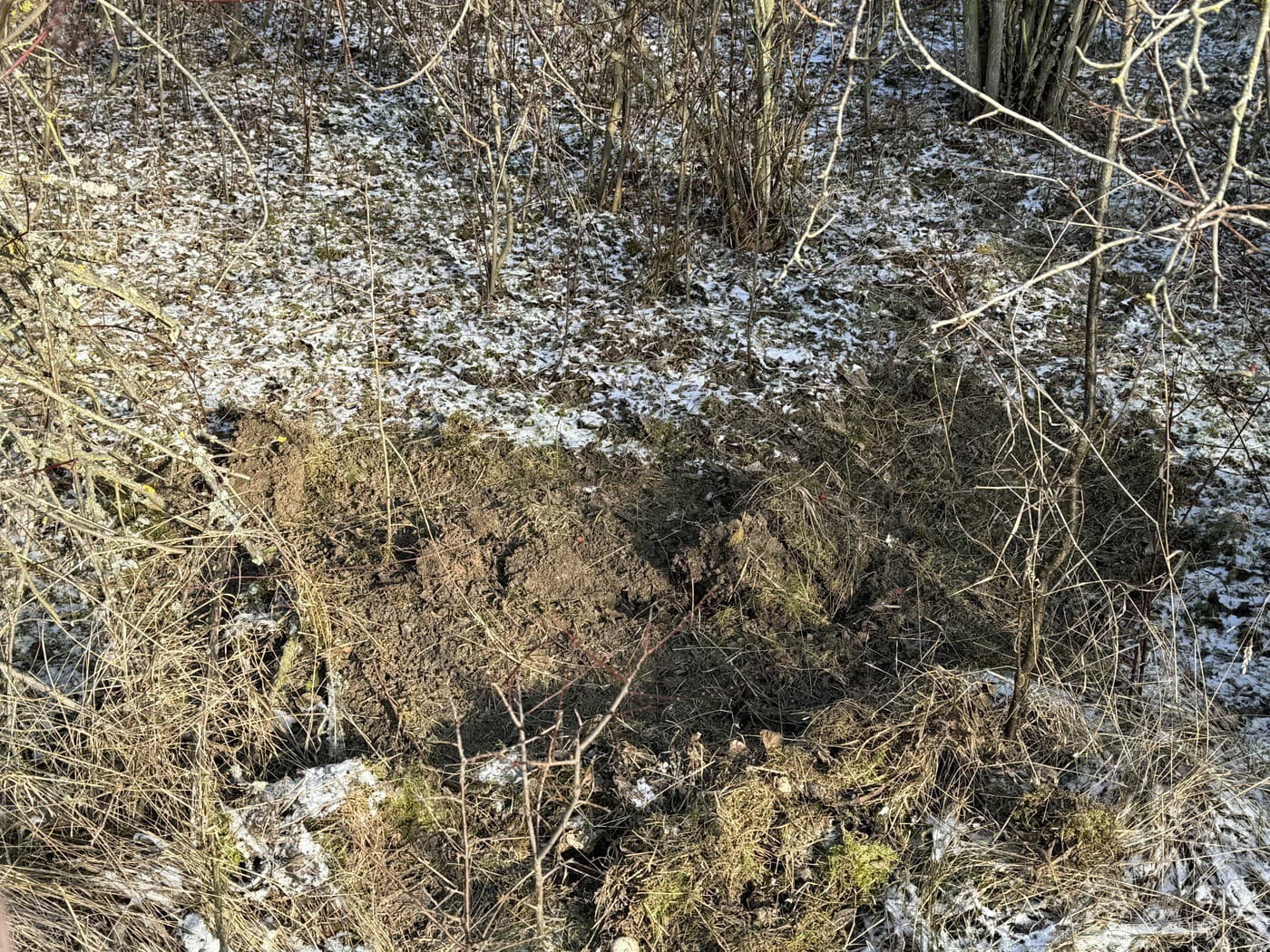 Davida zviazali a pochovali