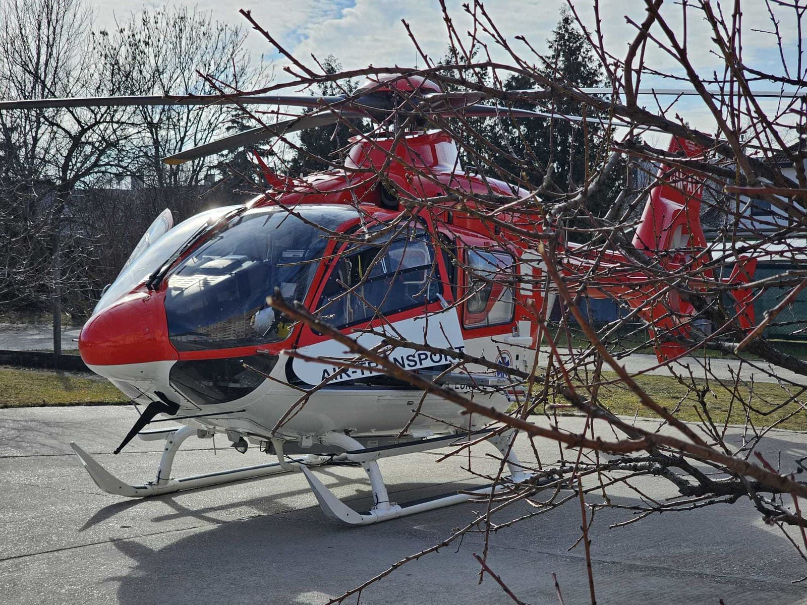 Nehoda pri orezávaní stromu: