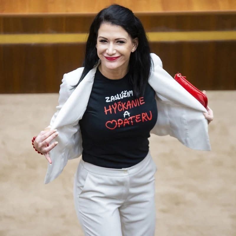 Politici si zaspomínali na