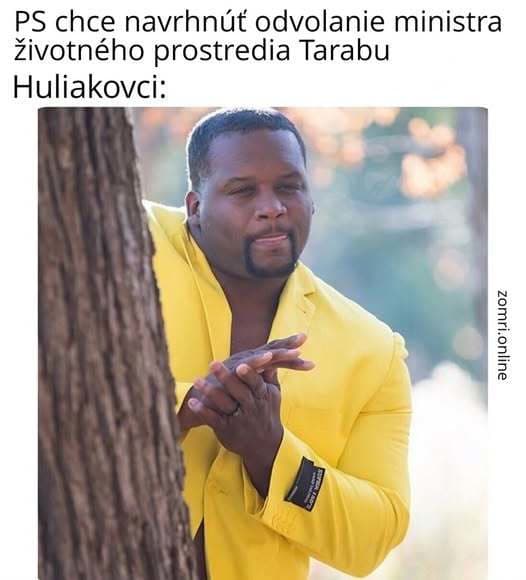Otvorené listy a vládne