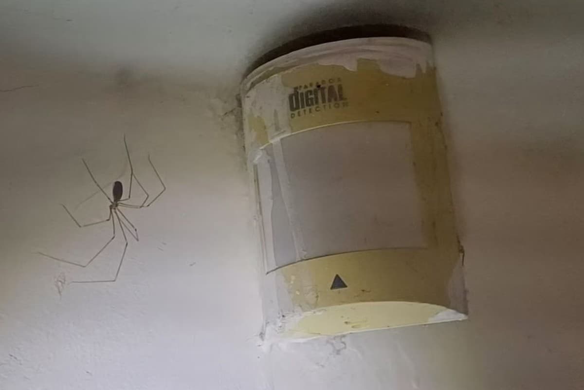 Polícia musela zasiahnuť pre