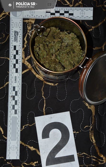 Polícia obvinila dvoch mužov z drogovej trestnej činnosti
