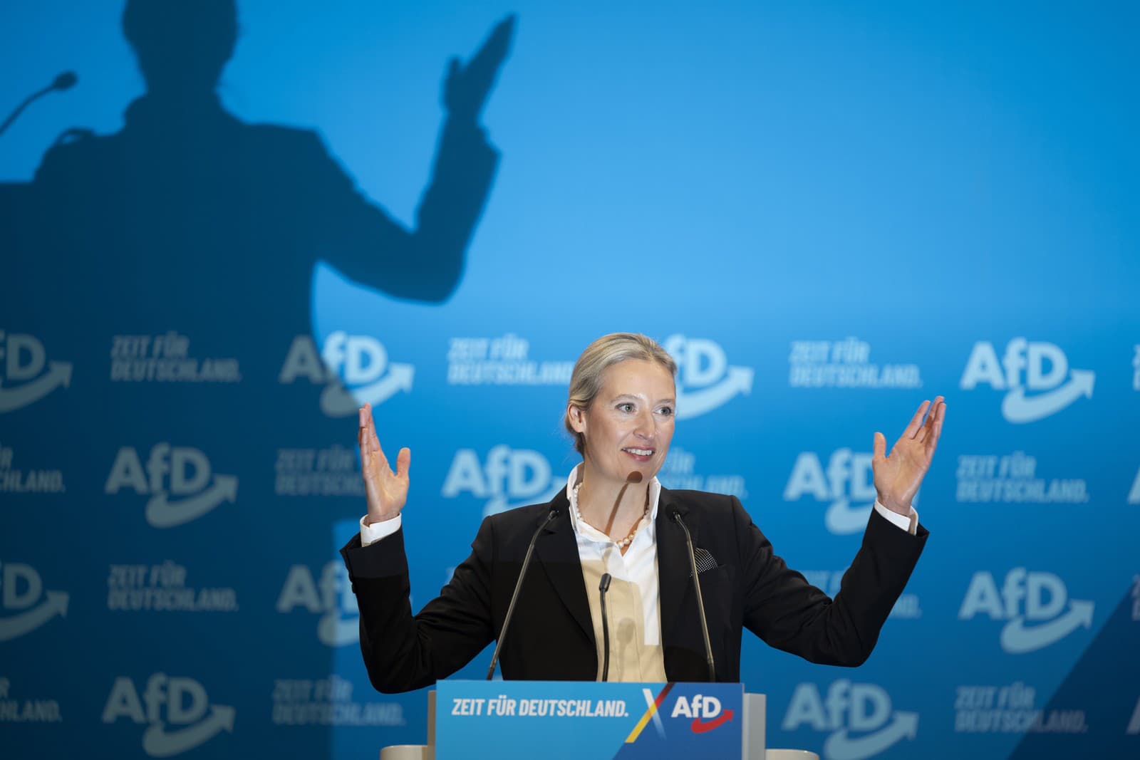 Nemecká AfD chce so