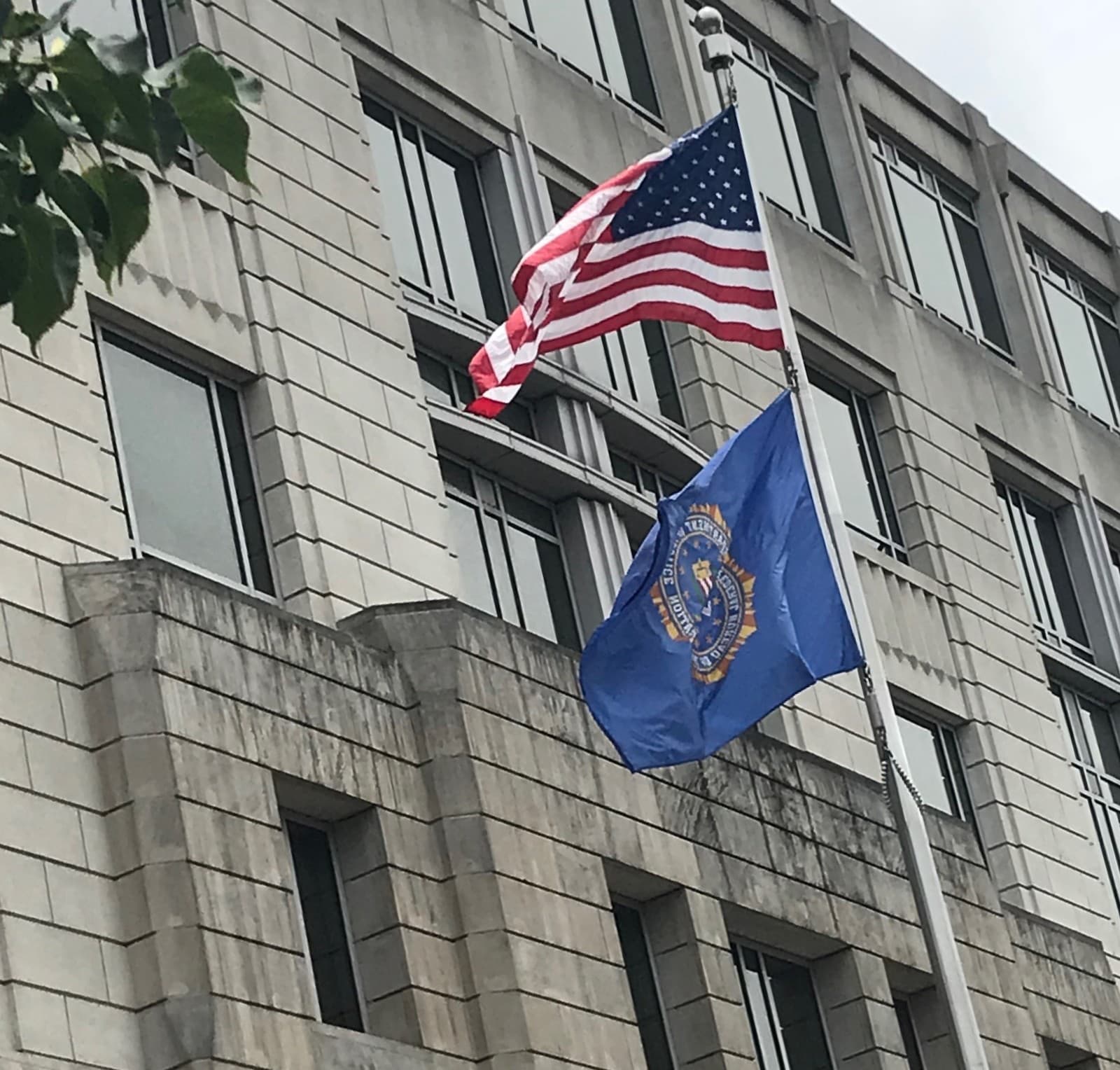 Muskove e-maily spustili CHAOS