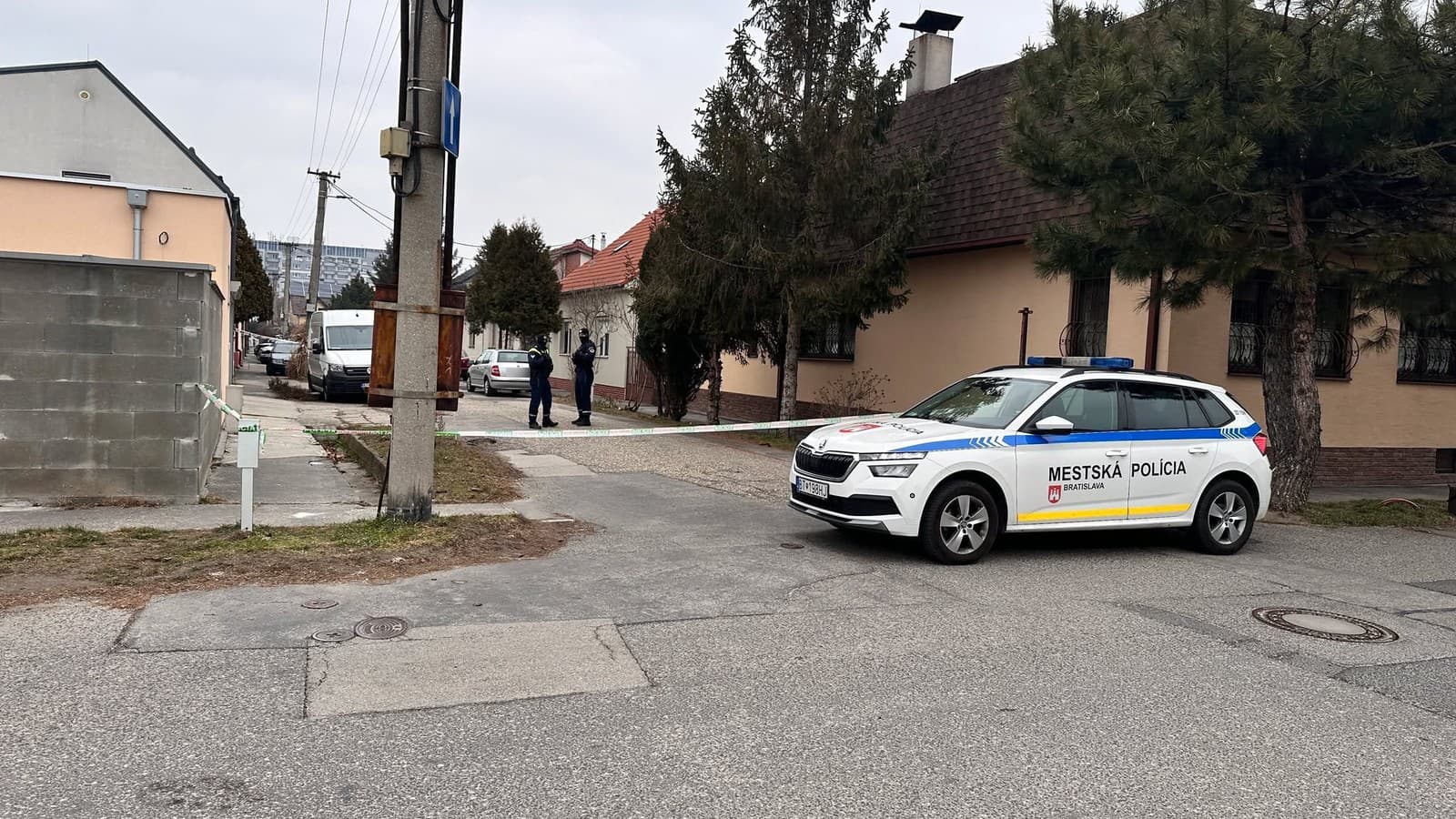 VRAŽDA u susedov Joža