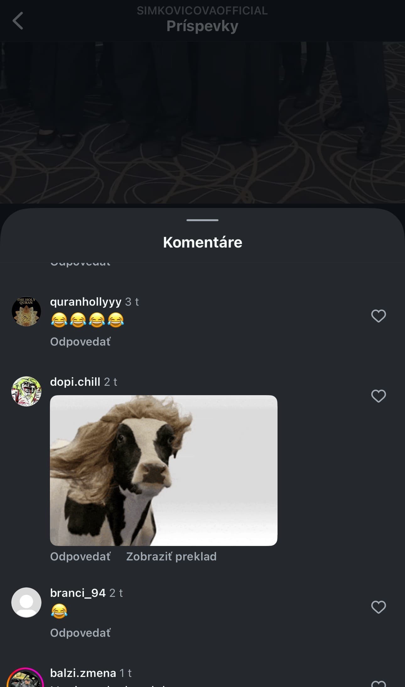 Komentáre pod príspevkom Martiny Šimkovičovej sú rôzne.
