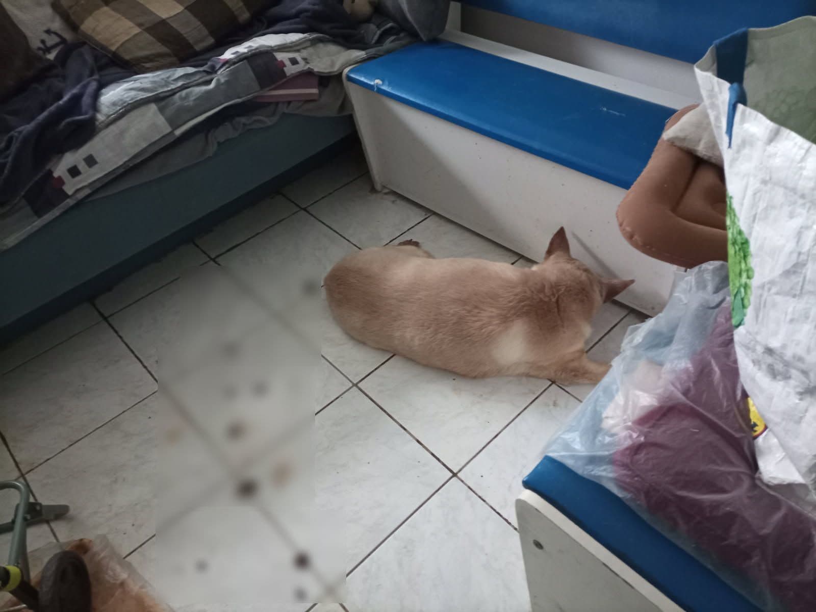 Susedu už dlho nevideli,