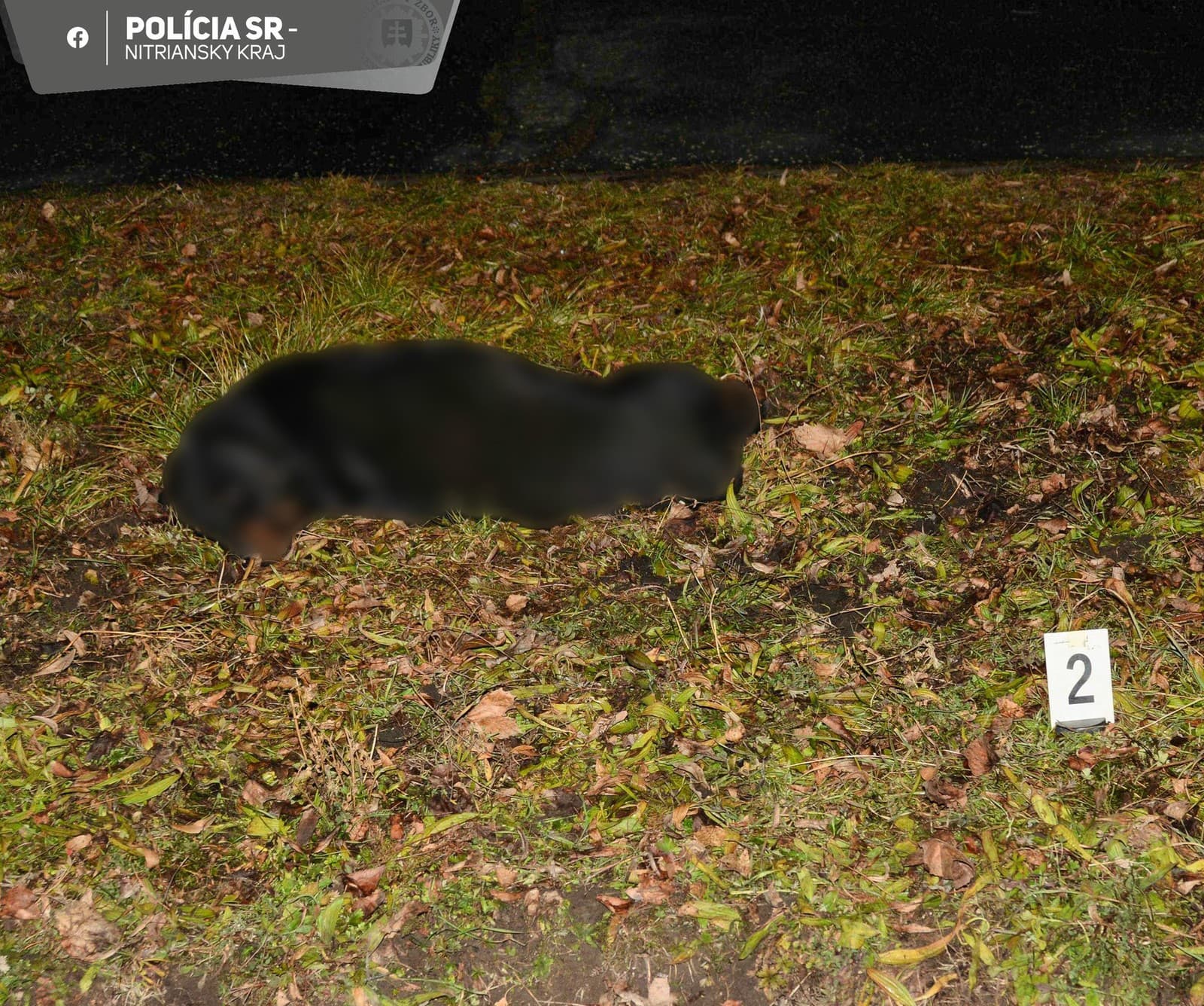 Šokujúci INCIDENT na juhu