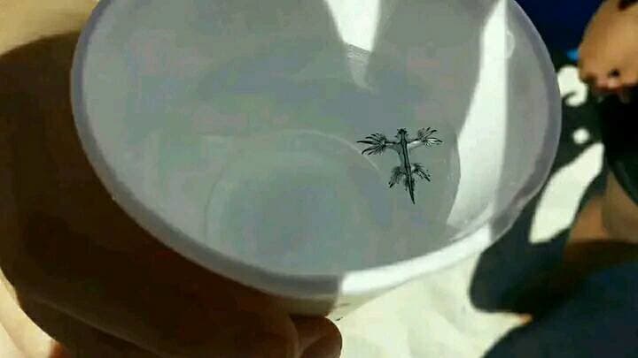 Turista našiel na pláži