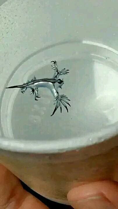 Turista našiel na pláži