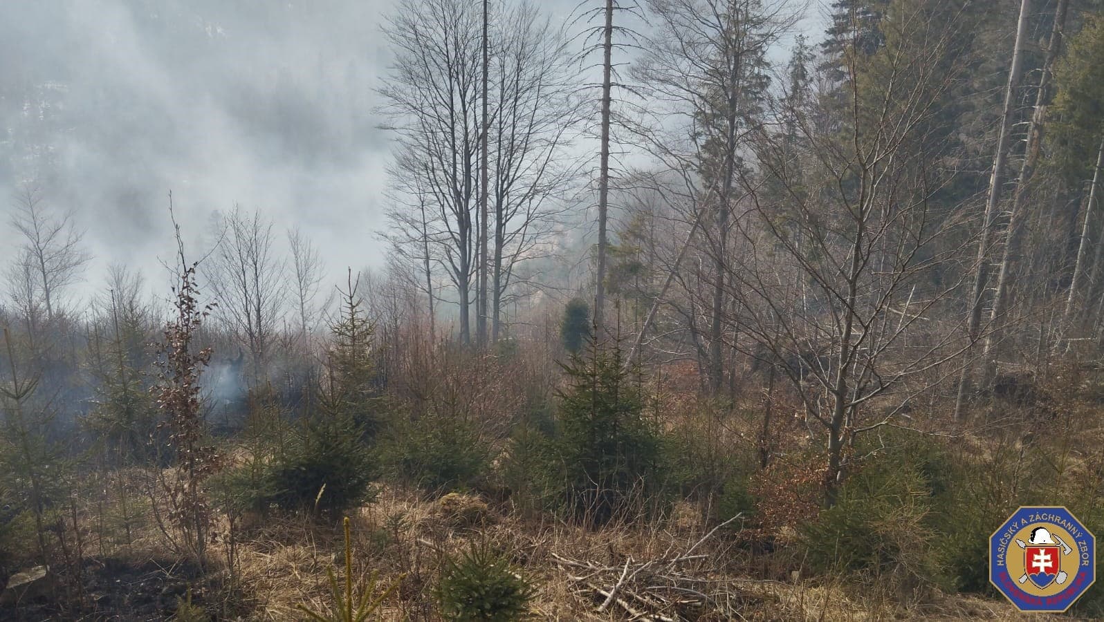 požiar lesa v Oravskej Jasenici