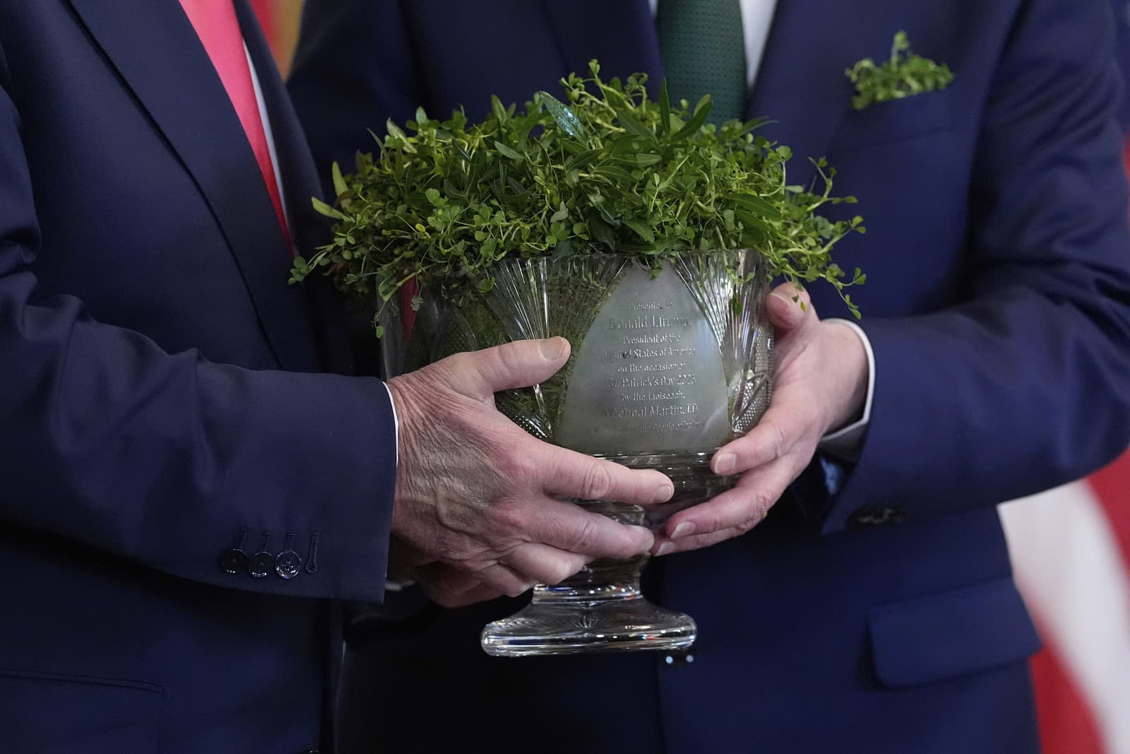 Viditeľná modrina na chrbte pravej ruky amerického prezidenta Donalda Trumpa