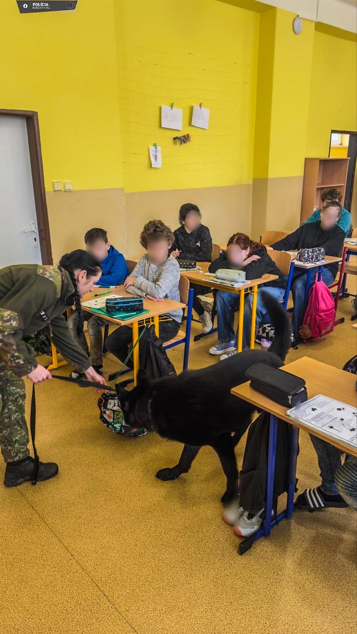 Policajná kontrola na základnej škole vo Veľkých Kapušanoch